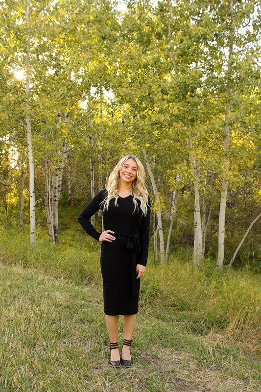 Benny Knit Dress In Black