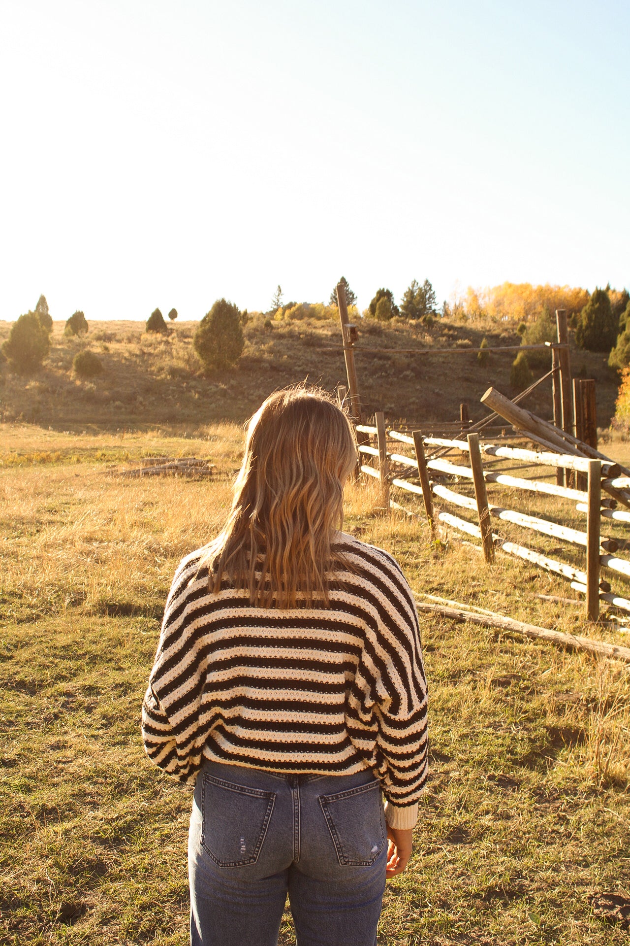 Bexley sweater